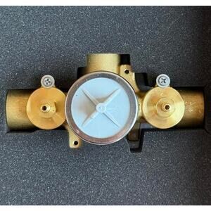 Brizo R35000-WS Roush In Sensori Thermostatic Valve